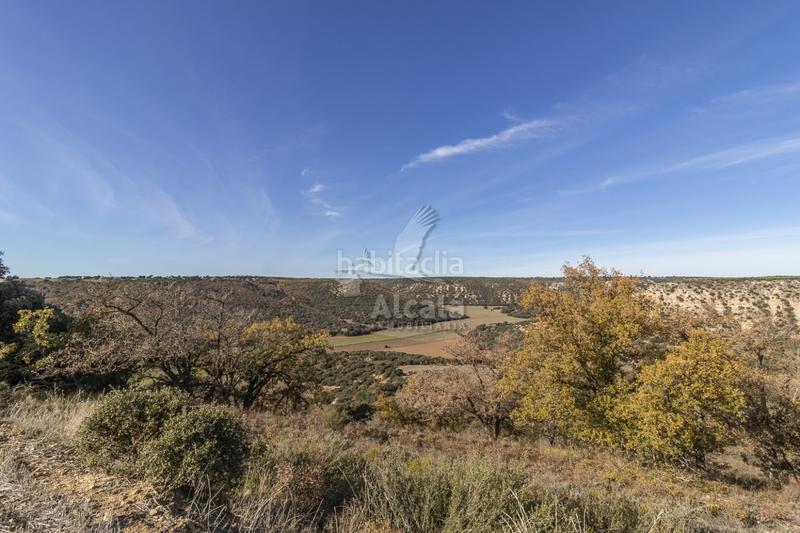 Foto 3cd65160-bdbf-4cf2-834d-1dee62ed7ab8. Terrain résidentiel dans Yebes - pueblo Yebes