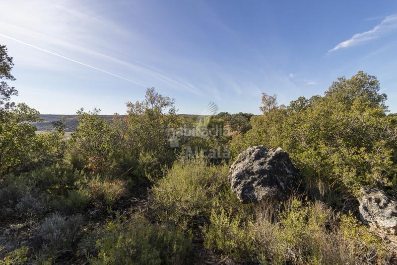 Foto 45f3c23e-7b1f-44ef-9415-a06f89260438. Terrain résidentiel dans Yebes - pueblo Yebes