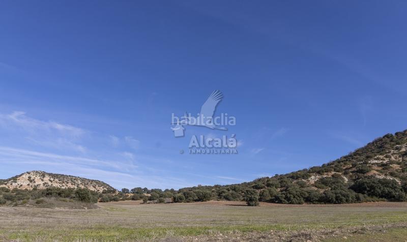 Foto 47190284-bf2c-4abc-9cb0-ffa0ade02b61. Terrain résidentiel dans Yebes - pueblo Yebes