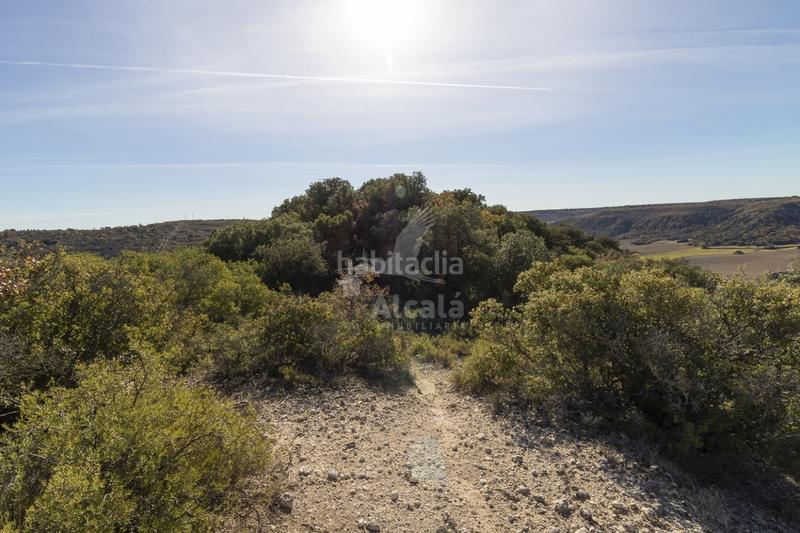 Foto 4d9cd250-e8af-4e70-a783-7178e933d22a. Terrain résidentiel dans Yebes - pueblo Yebes