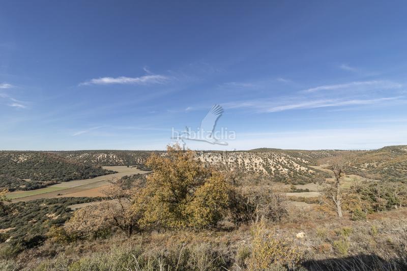 Foto 533c2b4a-c7c5-4728-8b68-455d9219d2b7. Terrain résidentiel dans Yebes - pueblo Yebes