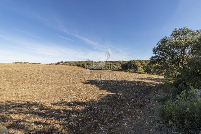 Foto 53ed4acd-df39-4463-a2e5-71a35e9d8ea6. Terrain résidentiel dans Yebes - pueblo Yebes