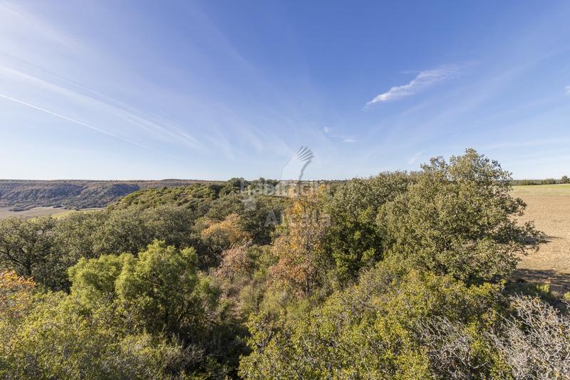 Foto 5782ea32-b8d4-4893-876b-9bb614364c63. Terrain résidentiel dans Yebes - pueblo Yebes