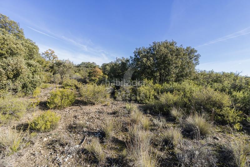 Foto 5c55213c-3d6f-4809-b26d-819265f44ea5. Terrain résidentiel dans Yebes - pueblo Yebes
