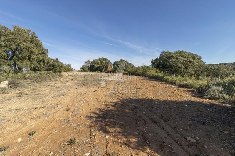 Foto 634752e0-000b-4c38-b208-0879c7029350. Terrain résidentiel dans Yebes - pueblo Yebes