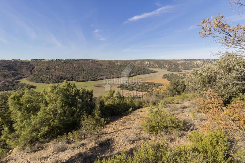 Foto 7309e304-e00e-42c2-a886-eec8ef48b217. Terrain résidentiel dans Yebes - pueblo Yebes