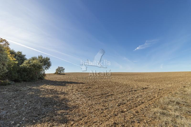 Foto 7a7fc109-8382-4b19-b9dd-3ba3f5594701. Terrain résidentiel dans Yebes - pueblo Yebes