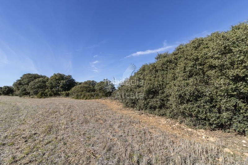 Foto 95abe868-aa72-4e0b-ac51-d19b7540a1d6. Terrain résidentiel dans Yebes - pueblo Yebes