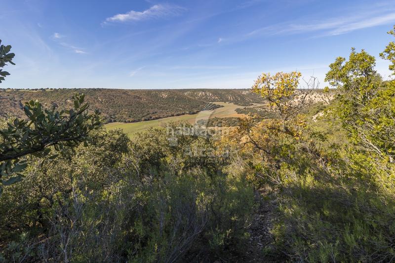 Foto 9ec3f400-d7ab-4919-93fc-b74d3f83655b. Terrain résidentiel dans Yebes - pueblo Yebes