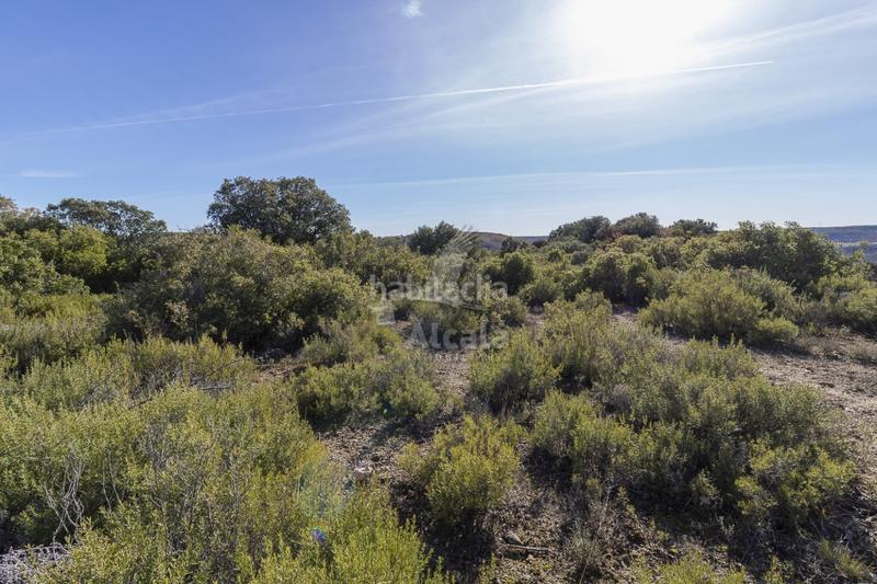 Foto 9ed868f6-58c9-4bfc-a0d1-f753e479272d. Terrain résidentiel dans Yebes - pueblo Yebes