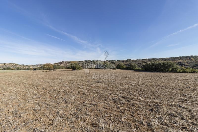 Foto a0cf1f7d-ae65-4296-bab8-1bbdd520cf14. Terrain résidentiel dans Yebes - pueblo Yebes