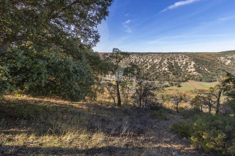 Foto b50f86f3-6c31-4b1a-a291-3b77d60beeba. Terrain résidentiel dans Yebes - pueblo Yebes
