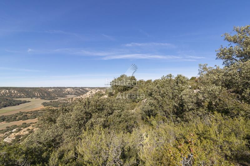 Foto b84c0b20-4c69-41ea-bd70-97b76c7a9318. Terrain résidentiel dans Yebes - pueblo Yebes