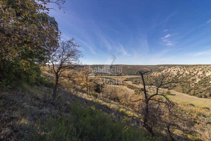 Foto c5eb4988-922d-4c82-aca1-382d197b0860. Terrain résidentiel dans Yebes - pueblo Yebes