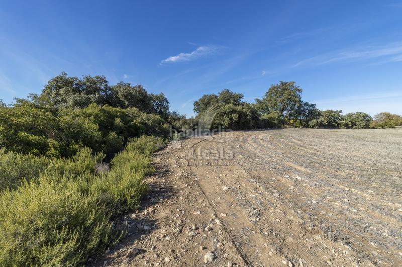 Foto c81fbaf1-f35b-4699-8cb7-6c296f2f2ebe. Terrain résidentiel dans Yebes - pueblo Yebes