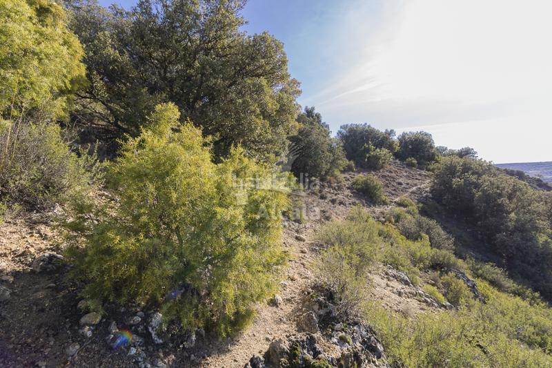 Foto ce1a651a-4923-46bf-a57a-cbc6519bbb7e. Terrain résidentiel dans Yebes - pueblo Yebes