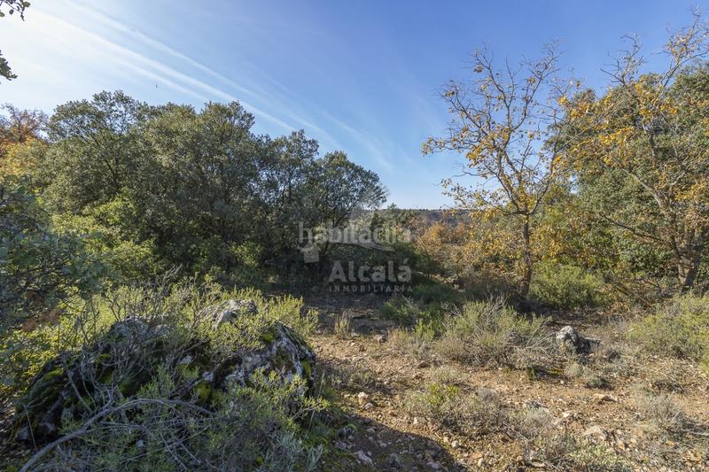 Foto d5782d6f-e5de-4f07-84d5-fe18443b0b70. Terrain résidentiel dans Yebes - pueblo Yebes