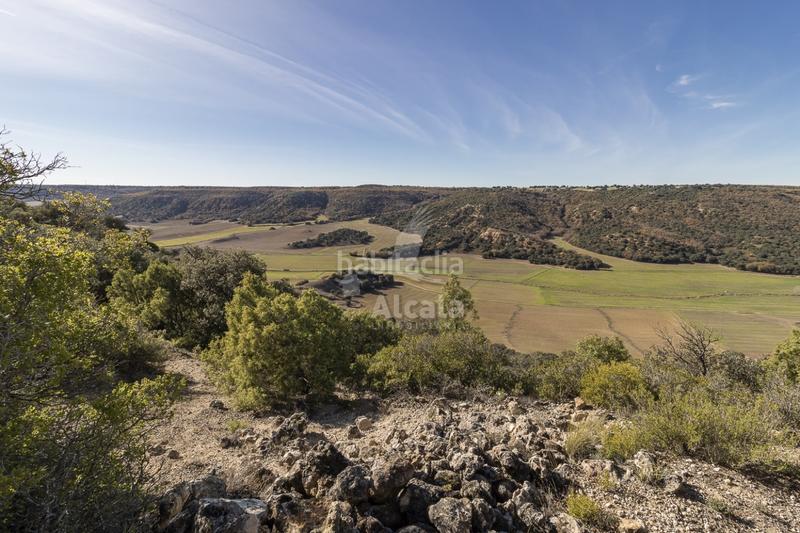 Foto e8edc445-ae68-4043-8aa0-ac9030b880c1. Terrain résidentiel dans Yebes - pueblo Yebes