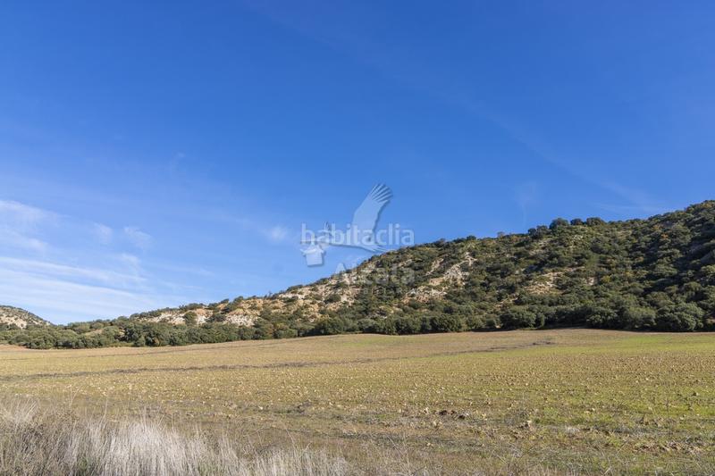 Foto ee14ec74-6f61-4571-83eb-721ae54776ec. Terrain résidentiel dans Yebes - pueblo Yebes