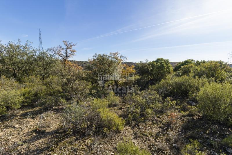 Foto ee9b71b4-3ea8-4eae-b2eb-1395cd5f8fd9. Terrain résidentiel dans Yebes - pueblo Yebes