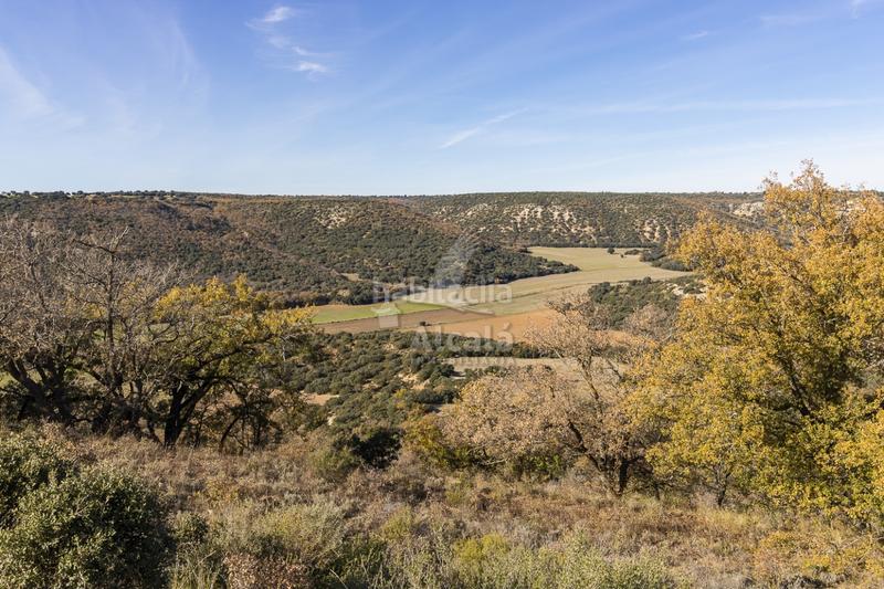 Foto eeab525c-f4c1-4845-a9a3-f0b170b81781. Terrain résidentiel dans Yebes - pueblo Yebes