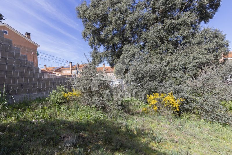 Foto 4bc51c4b-0f97-4f46-b0dd-889e2941de43. Finca rústica a Pioz