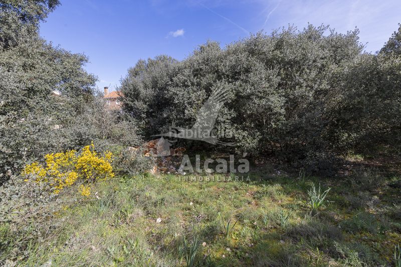 Foto a76ee603-7f5b-4479-851a-e71c9b42a959. Finca rústica a Pioz