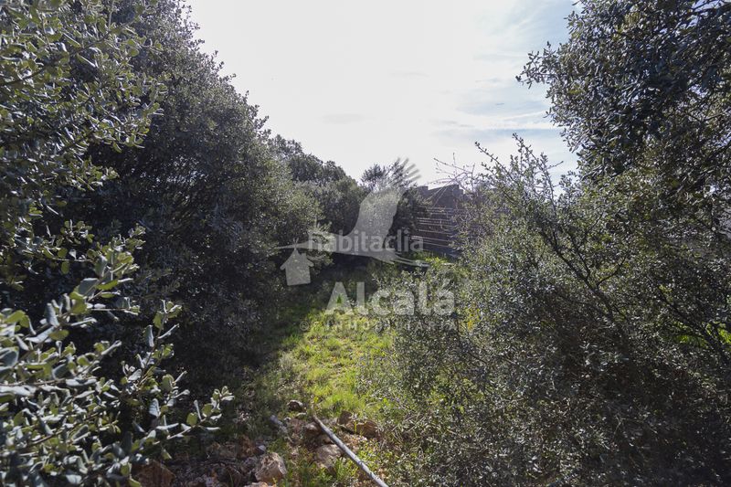 Foto ad0f5a73-5ee2-4484-ad26-ec7a40cb1235. Finca rústica a Pioz