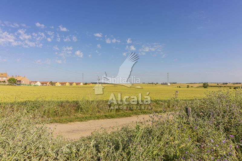 Foto d6a7e0b3-5319-458f-b901-d8cf59fd255f. Finca rústica a Pioz