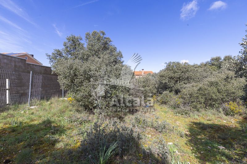 Foto f7116a5e-3e11-4e75-9235-3501601d9f70. Finca rústica a Pioz