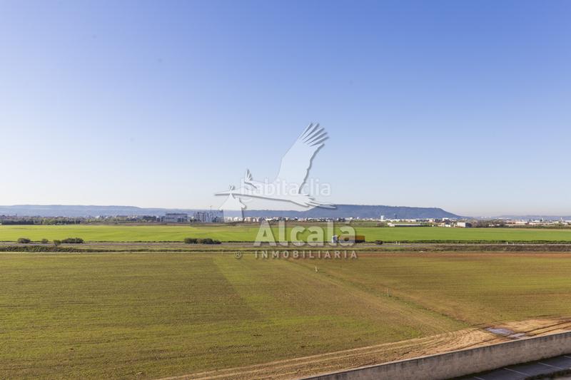 Foto 5764186a-1103-48af-ac51-4d09e75426a0. Industrial building in Camarma de Esteruelas