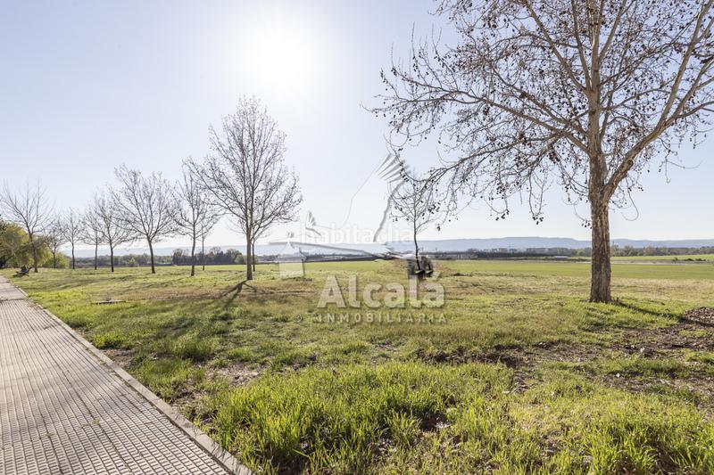 Foto c6cd2d84-00ed-48e0-ad0d-98e73ce45520. Industrial building in Camarma de Esteruelas