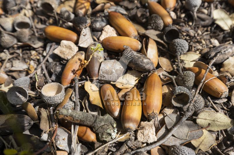 Foto 11a50941-0c8d-486c-92c7-e4e11f9baca7. Terrain résidentiel dans Fuentenovilla