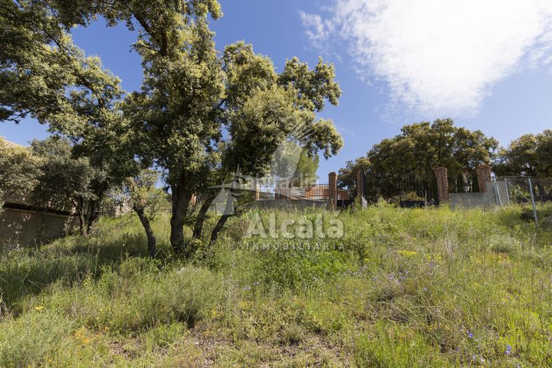 Foto 3428fcff-9fb7-4f24-8099-504aa8f555a5. Terrain résidentiel dans Fuentenovilla