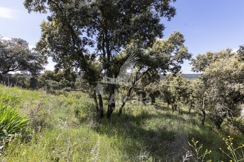 Foto 43842669-aa56-4db1-9da3-fbf27eeaba06. Terrain résidentiel dans Fuentenovilla