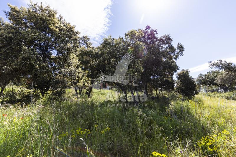 Foto 5c59c276-7ba4-4df7-ac5d-da97cc3f2230. Terrain résidentiel dans Fuentenovilla