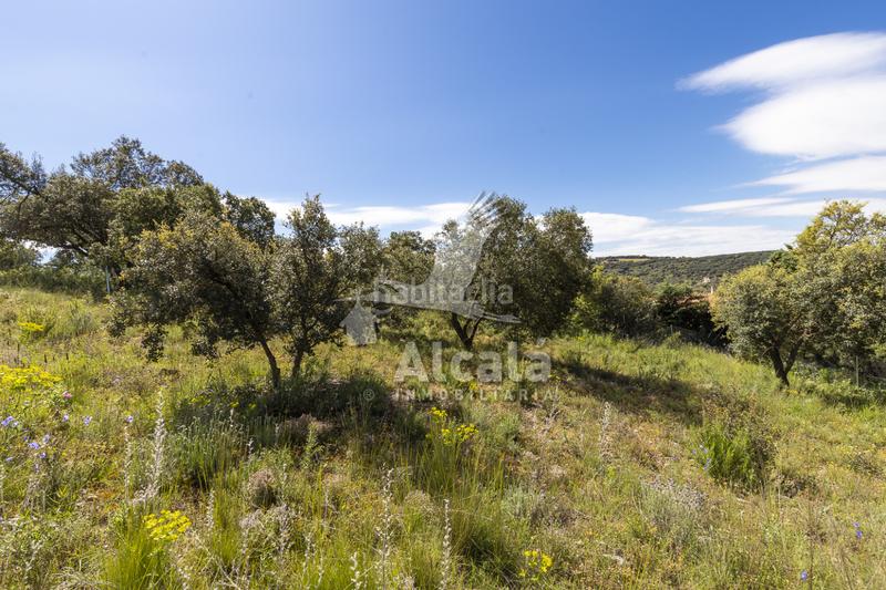 Foto 7e5ee703-1ae4-41ff-9f57-670b14a8f2d9. Terrain résidentiel dans Fuentenovilla