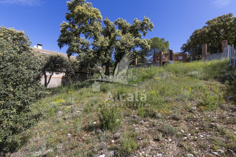 Foto a5f62784-ad3a-4ee6-8ea3-3e4947fe2e12. Terrain résidentiel dans Fuentenovilla