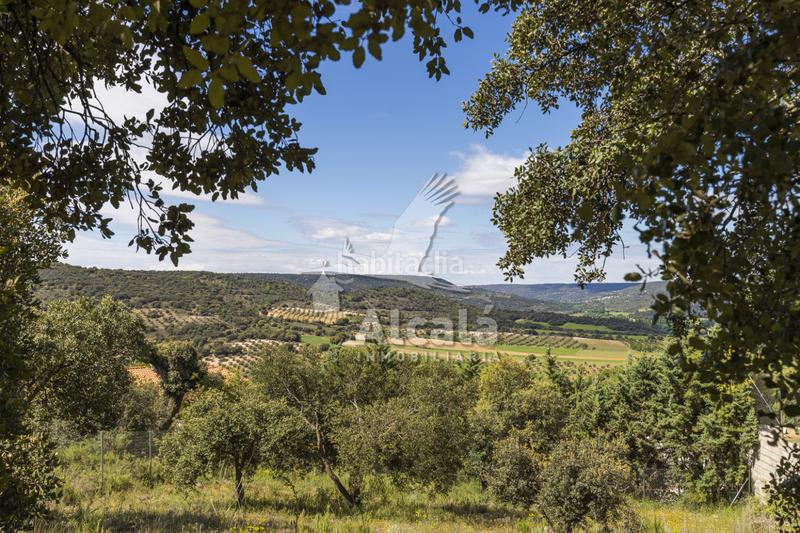 Foto acc421ee-c212-43a4-b0ab-ee4e07e7b741. Terrain résidentiel dans Fuentenovilla