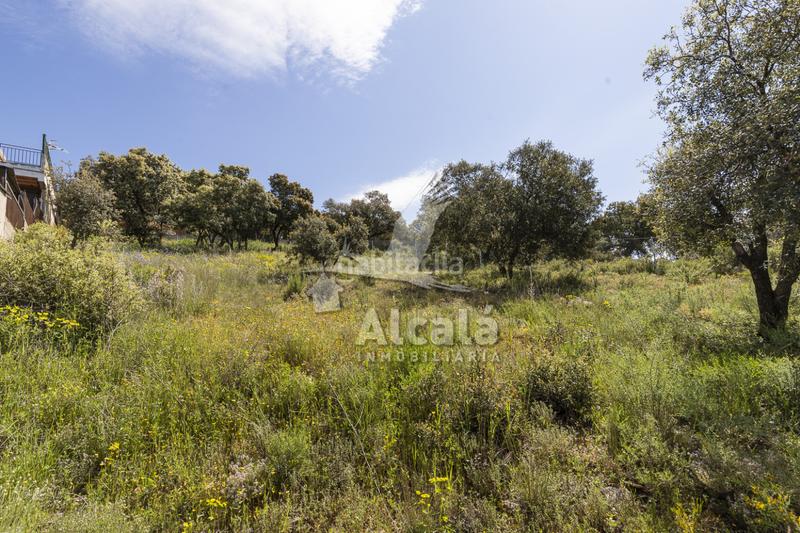 Foto b1ab1852-b5f8-41d8-93ed-4613f6e862ed. Terrain résidentiel dans Fuentenovilla