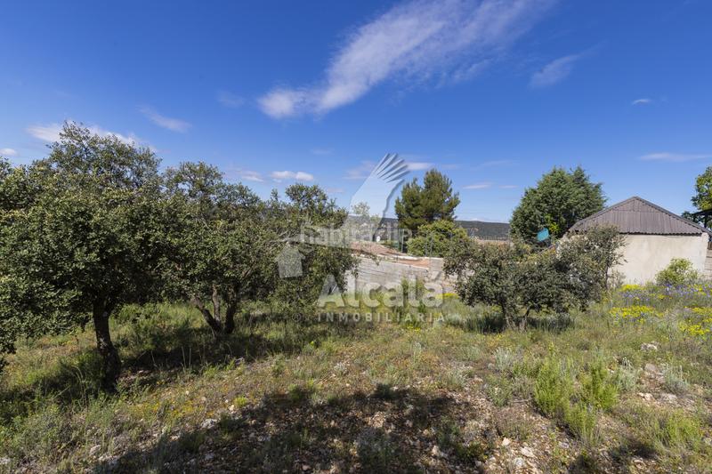 Foto bc33f131-8878-4faa-bdc3-bc3568e74a59. Terrain résidentiel dans Fuentenovilla