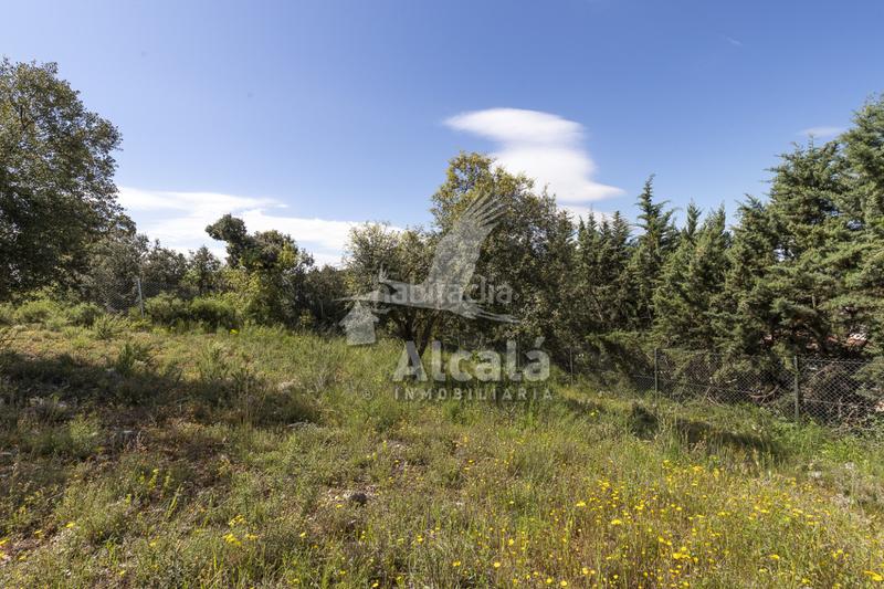 Foto f14186fa-6e06-4c69-b970-f25c68085b4c. Terrain résidentiel dans Fuentenovilla