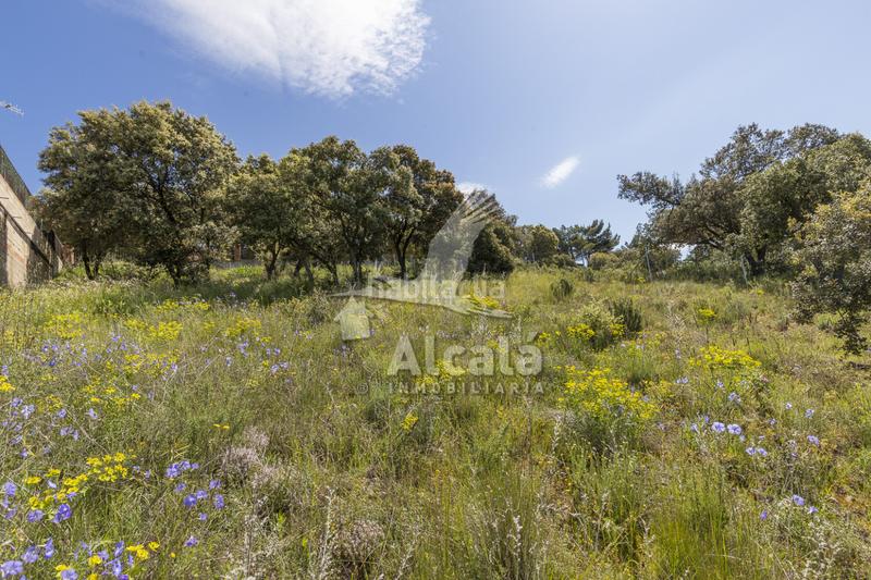 Foto f44eebb8-986d-4931-919a-0c9a3066c3cf. Terrain résidentiel dans Fuentenovilla