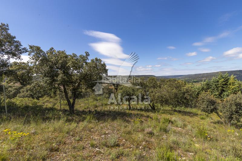 Foto ff1a8e18-894a-4386-9db2-684823f429dc. Terrain résidentiel dans Fuentenovilla