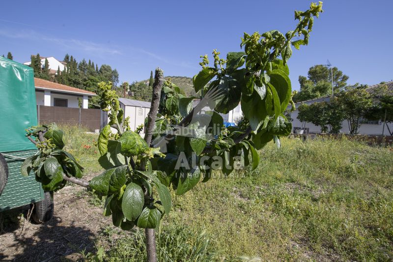 Foto 0f4dbbe3-8300-4e10-a0e0-97e68652133d. Finca rústica a Valverde de Alcalá