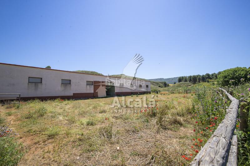 Foto 0162f0e8-b671-4303-b650-04477328f65f. Residential plot in Santos de la Humosa (Los)