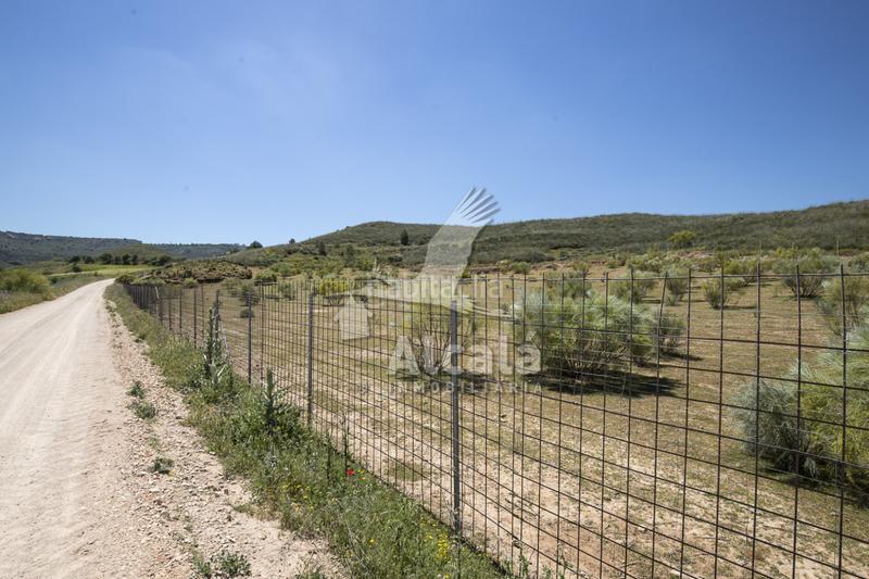 Foto 14005e15-c6f3-4756-bf65-6a473421e281. Residential plot in Santos de la Humosa (Los)