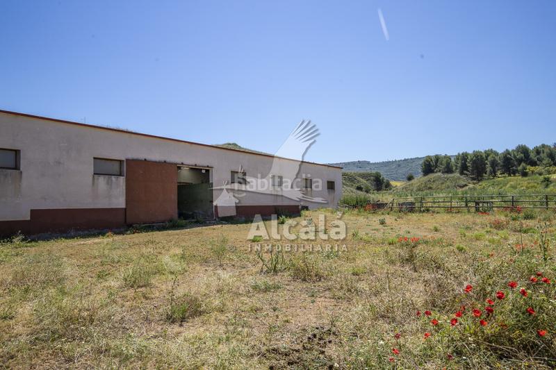 Foto 16fb7154-d476-431d-98d6-8a4d4efb7216. Residential plot in Santos de la Humosa (Los)