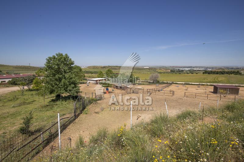 Foto 1ccf34f6-9b61-4695-8e69-7c5dc616a841. Residential plot in Santos de la Humosa (Los)