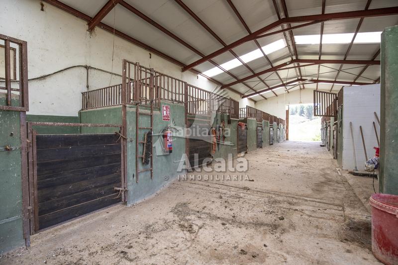 Foto 21d2bd4b-4932-4bdb-8b30-249f9778cce2. Residential plot in Santos de la Humosa (Los)